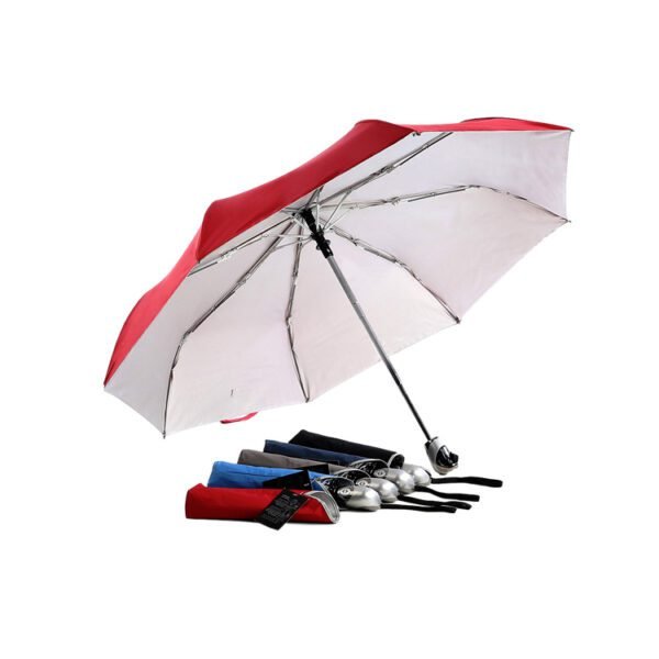 Auto Open Close Windproof Umbrella