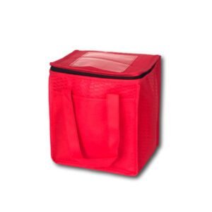 Cube Non-woven Cooler Bag