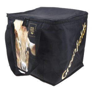 Black Small Cooler Bag