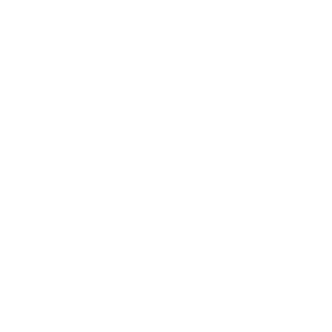 Globe icon with airplane and ship shows that Corporate gifts supplied by us can be exported worldwide.